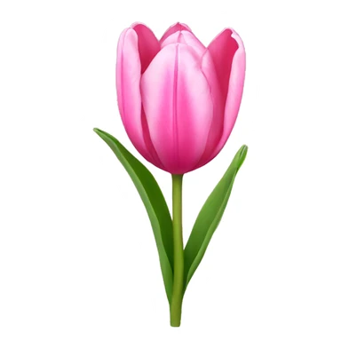 pink tulip sticker