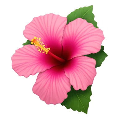Hibiscus flower that’s pink sticker