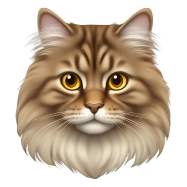  Brown siberian cat and golden eyes sticker