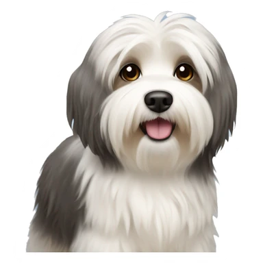 havanese dog  sticker