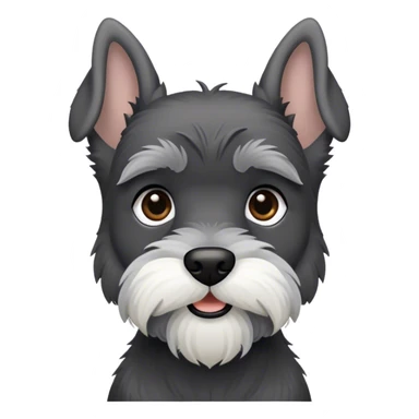 Black and gray miniature schnauzer with ears up but not docked sticker
