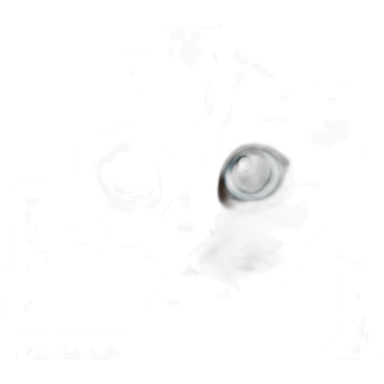 colorpointe ragdoll kitten sticker