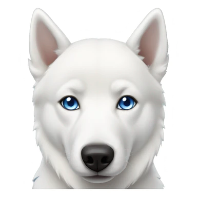 White husky with blue eyes sticker