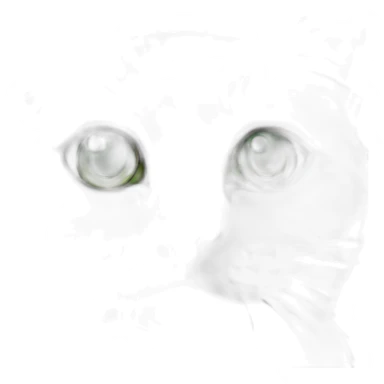 Grey and white Cat with green eyes, Pink nose sticker