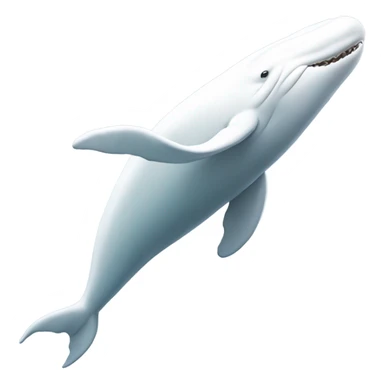 white whale , underside sticker