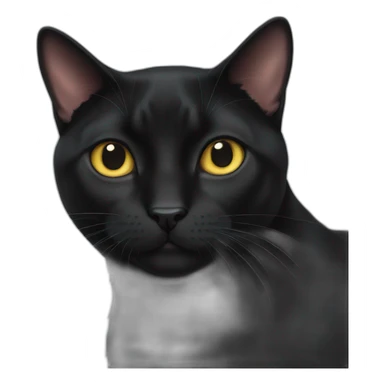 bombay cat sticker
