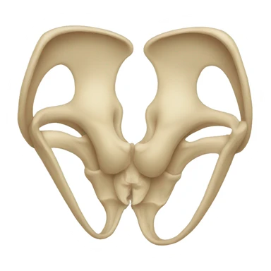pelvis sticker