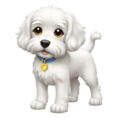 cavashon full body sticker