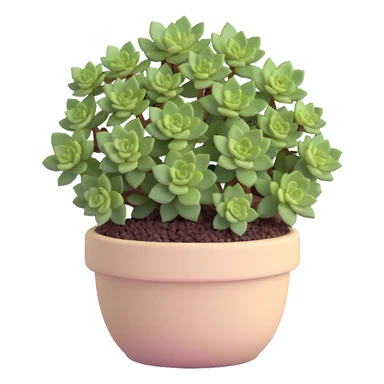 Sedum Pachyphyllum succulent with chubby blue-green leaves in a beige ceramic pot sticker