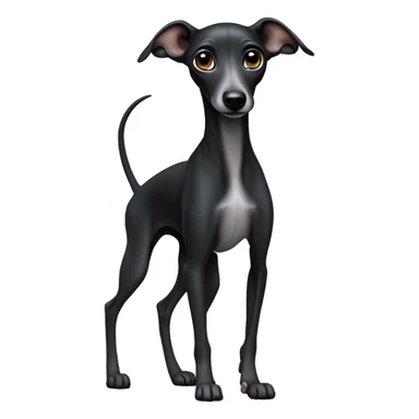 Black Italian greyhound puppy  sticker