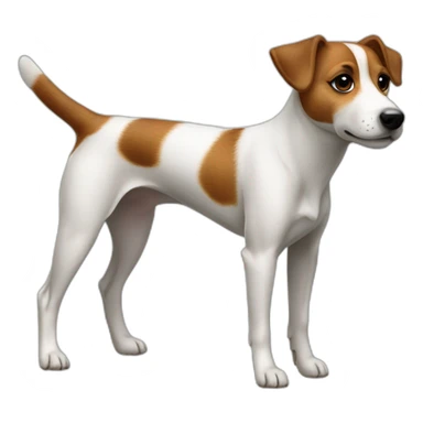 dog Jack Russell Terrier full body sticker