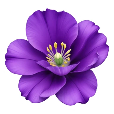 Eustoma sticker