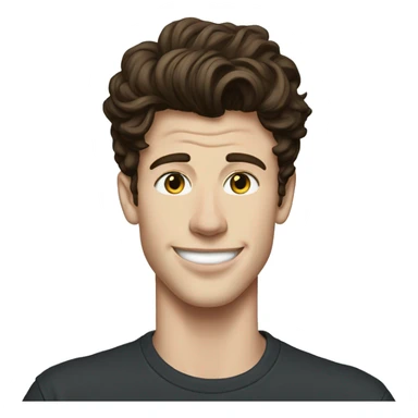 shawn mendes with t shirt  sticker