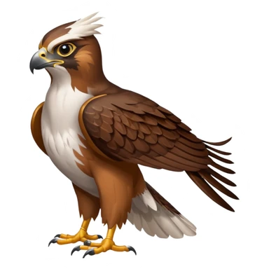 Falcon  sticker