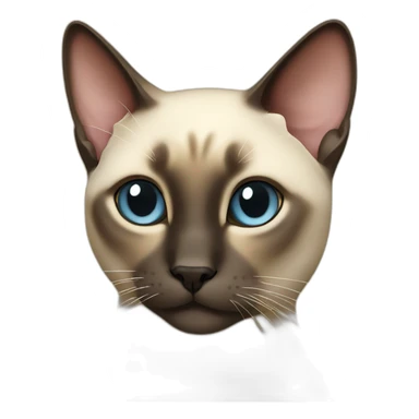 Rich siamese cat sticker