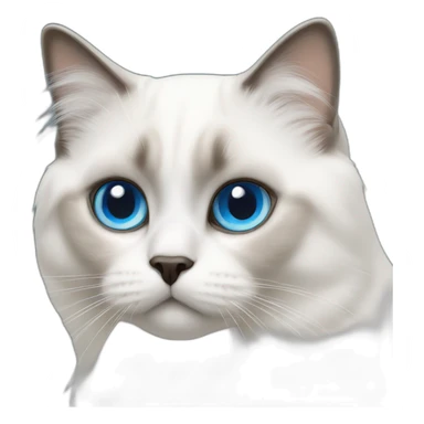 White birman cat blue eye sticker