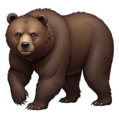 Intimidating dark brown bear on four legs with serious expression, fierce eyes, natural stance, realistic details sticker