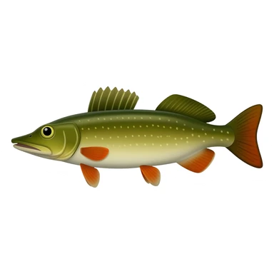 pike sticker