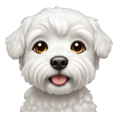 perro bichon maltés blanco sticker