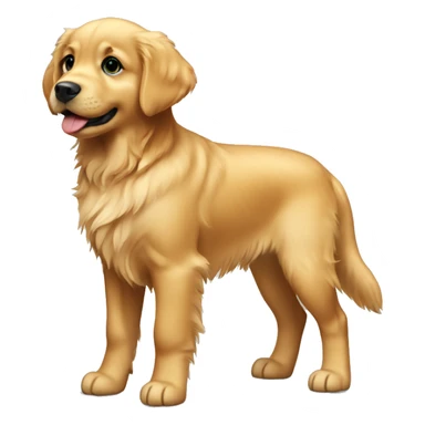 Golden retriever puppy standing sticker