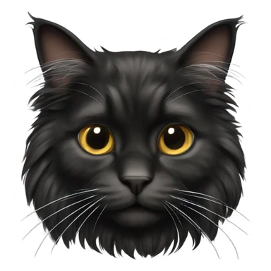 Fluffy black Maine coon cat sticker