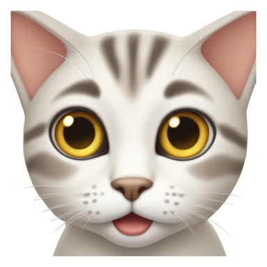 cat looking surprised  sticker