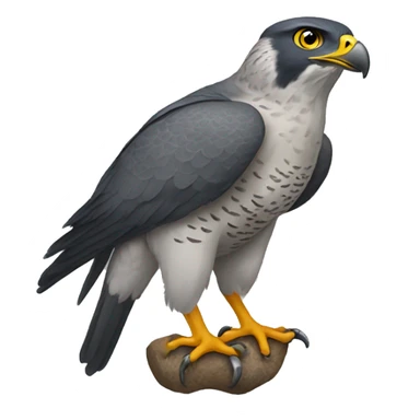 goshawk sticker
