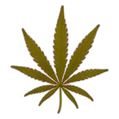 Cannabis pink sticker