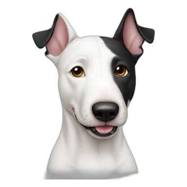 White bull terrier with black right ear sticker