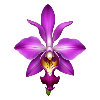 single purple Dendrobium Orchid flower, stem sticker