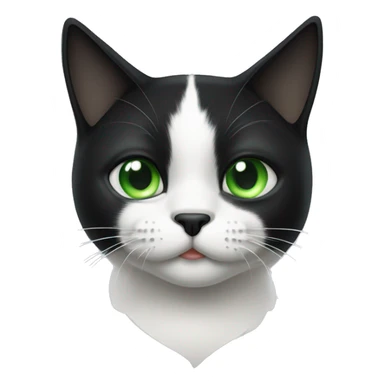 Black and white cat with an asymmetrical spot on the nose and green eyes sticker