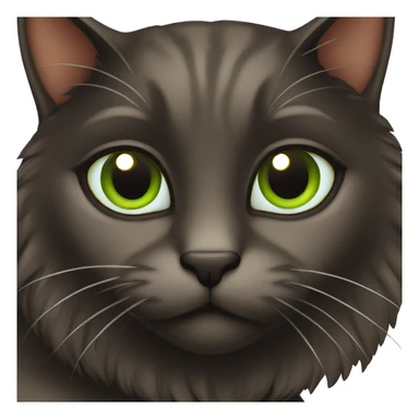 Black and Brown cat with Green eyes  sticker