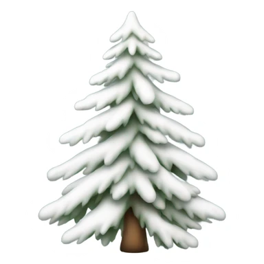  actual white fir christmas tree isolated.  sticker