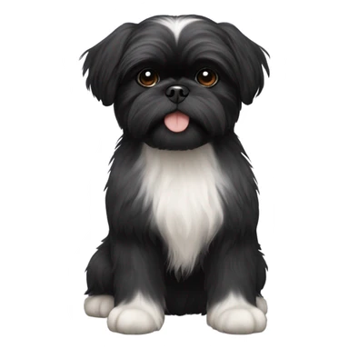 Black shih tzu puppy with short hair sticker
