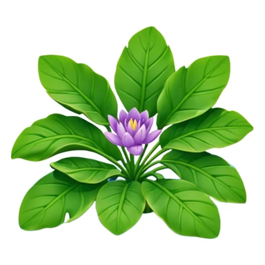 Water Hyacinth sticker