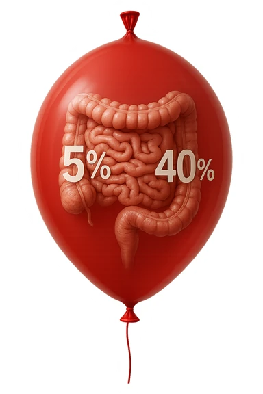 intestino umano anatomico chiuso in un palloncino rosso con la scritta 5% e 40% dentro insieme all'intestino, iperrealistico 4k sticker