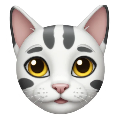 Black cat with white paws sticker