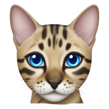 Seal Bengal cat with Blue eyes  sticker
