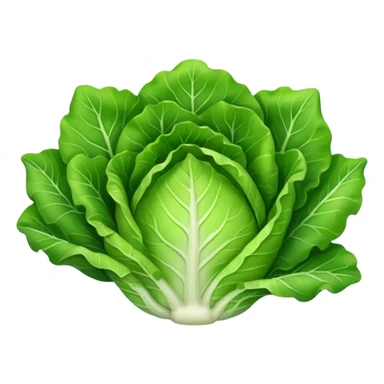 lettuce vegetable sticker