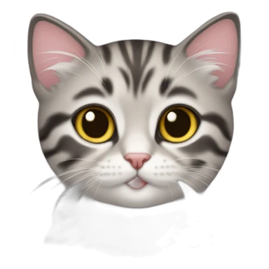 chaton informaticien sticker
