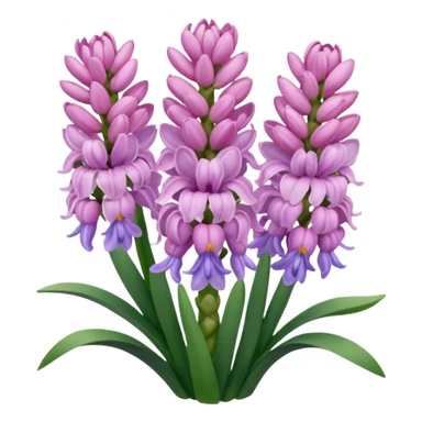 a light margenta  Hyacinth sticker
