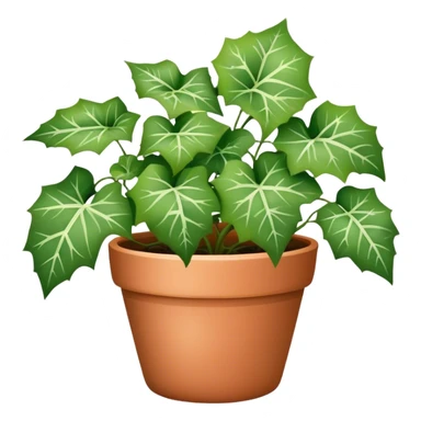 ivy plants with white spotted leaves in a pot sticker