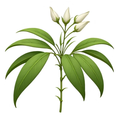 wilted jasmine sticker
