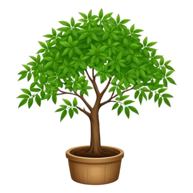 Elder herb tree sticker