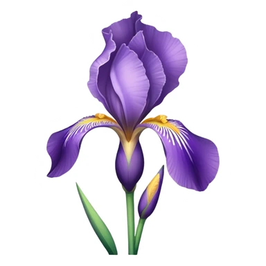 single Light Purple Iris, straight stem sticker