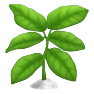 Trebol de 5 hojas sticker