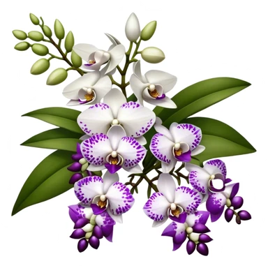 big bouquet white purple Rhynchostylis Orchid, stem, leaf, luxuriant sticker