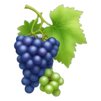 green and blue color grapes sticker