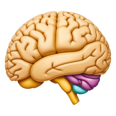 cortex pré frontal sticker