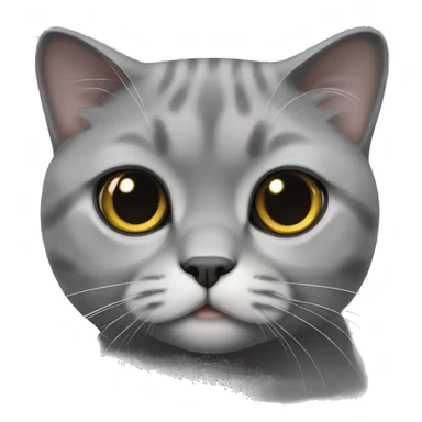 Grey Scottish Fold cat sticker